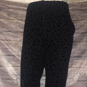 Ann Taylor Black Leopard Print Velour Dress Pants